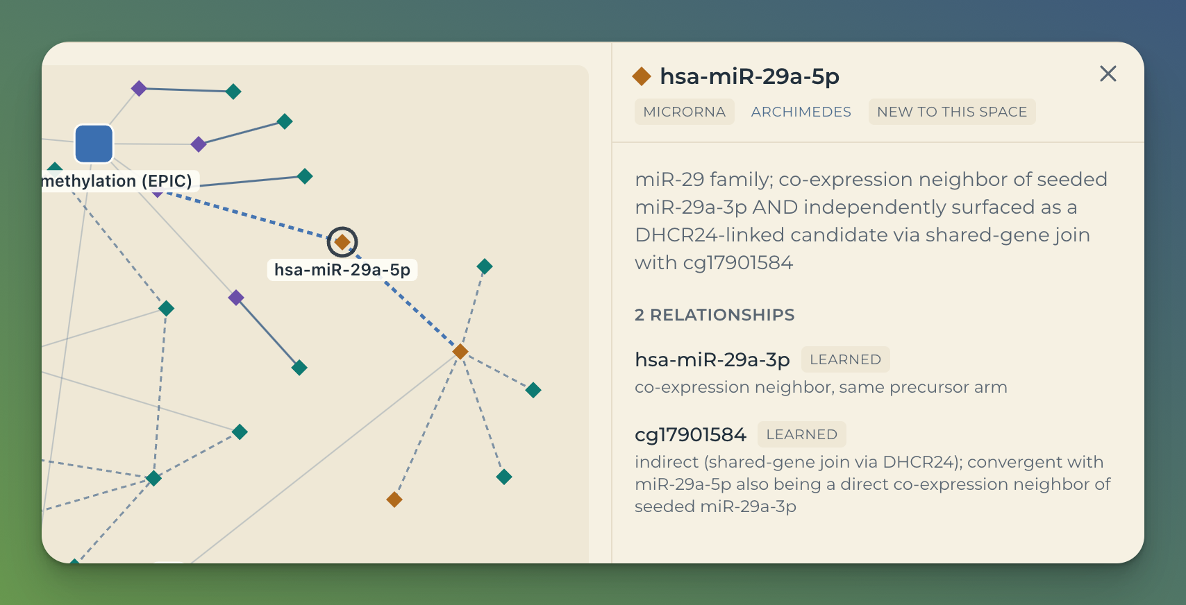 The panel for a single entity, hsa-miR-29a-5p, marked as new to this space, showing two learned relationships each with a written explanation of the evidence behind it.